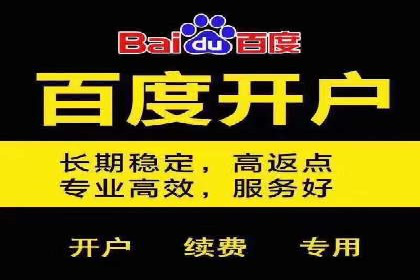 搜索引擎营销（SEM）竞价策略案例